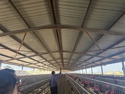 養鶏場小屋